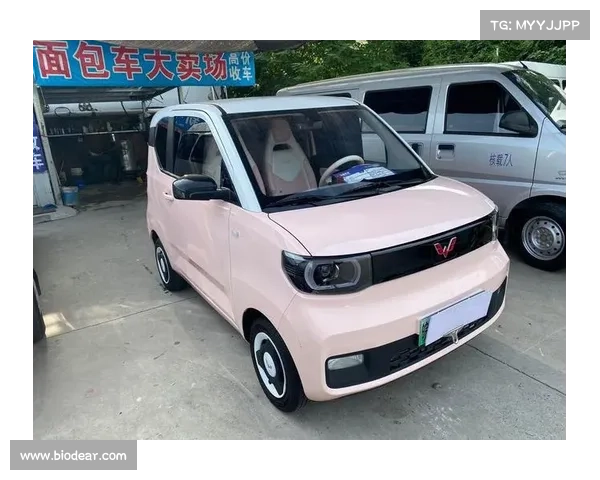MINI越野车见过吗?皮卡和大G?还有宏光MINI EV皮卡 MINI越野车见过吗?皮卡和大G?还有宏光MINI EV皮卡