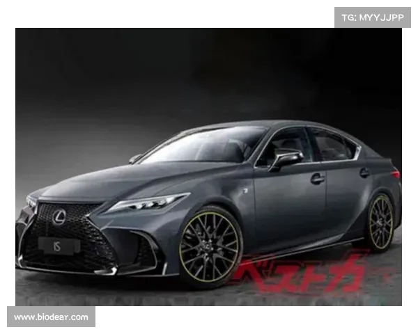 全新瑞纳预告图曝光，将于海外市场发布，会引进国内吗